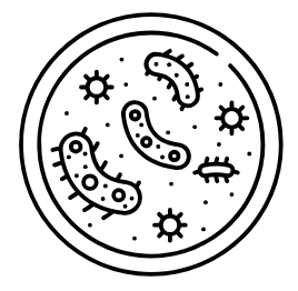 Our Approach Icon