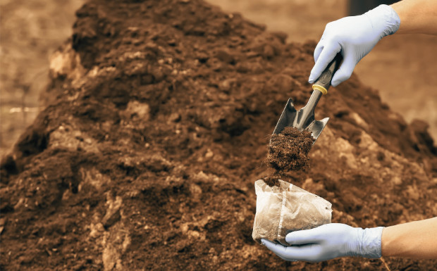 Sampling & Seeding