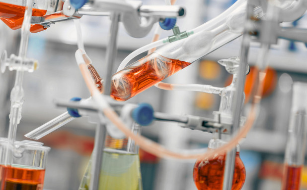 Compounds Isolation