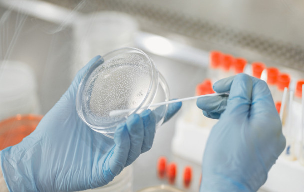 Pharmacological Profiling